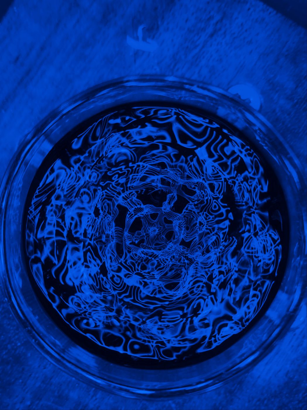 Electric-blue water cymatics in a glass dish.